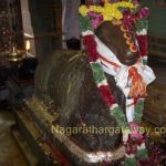venthanpatti001